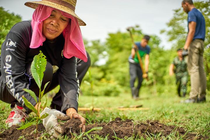 Plant-a-Thon: Urban Forest Drive